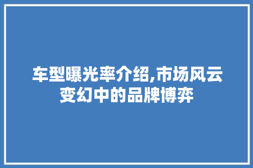 车型曝光率介绍,市场风云变幻中的品牌博弈