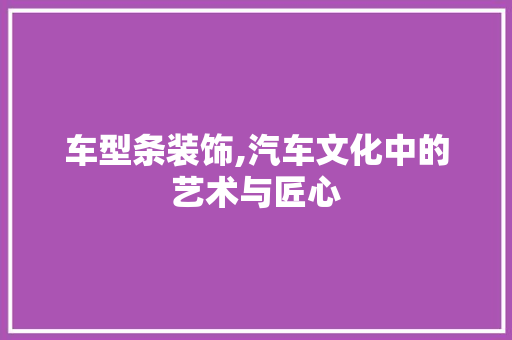 车型条装饰,汽车文化中的艺术与匠心