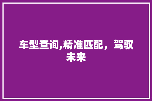车型查询,精准匹配，驾驭未来