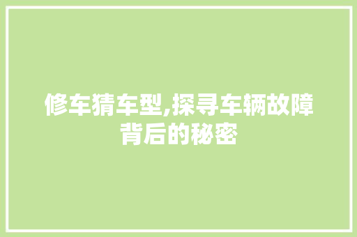 修车猜车型,探寻车辆故障背后的秘密 底盘配件