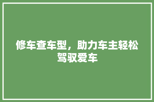 修车查车型，助力车主轻松驾驭爱车