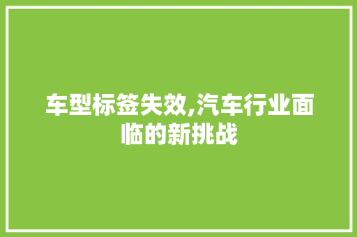 车型标签失效,汽车行业面临的新挑战