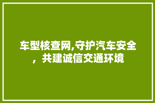 车型核查网,守护汽车安全，共建诚信交通环境