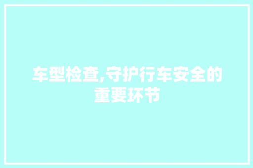 车型检查,守护行车安全的重要环节