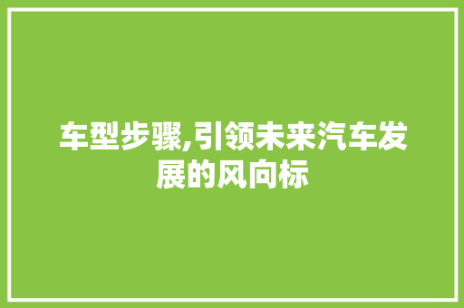 车型步骤,引领未来汽车发展的风向标