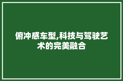 俯冲感车型,科技与驾驶艺术的完美融合