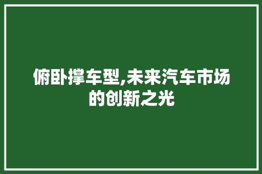 俯卧撑车型,未来汽车市场的创新之光
