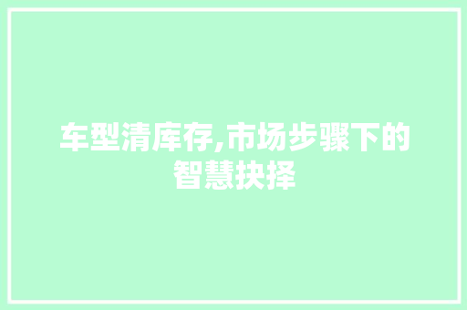车型清库存,市场步骤下的智慧抉择