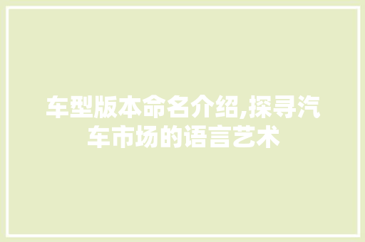 车型版本命名介绍,探寻汽车市场的语言艺术