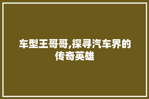 车型王哥哥,探寻汽车界的传奇英雄