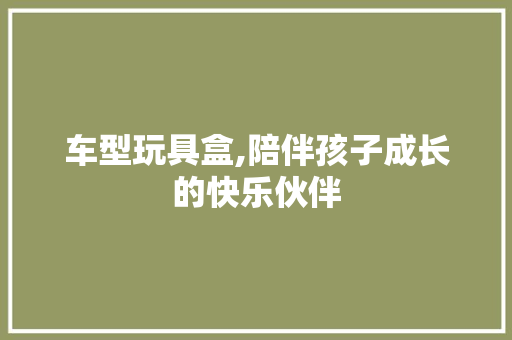 车型玩具盒,陪伴孩子成长的快乐伙伴