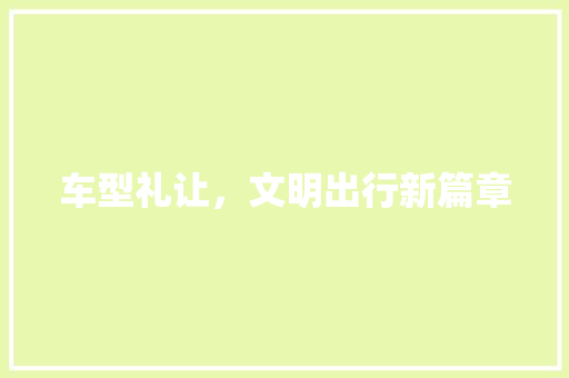 车型礼让，文明出行新篇章