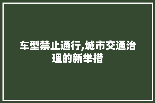 车型禁止通行,城市交通治理的新举措
