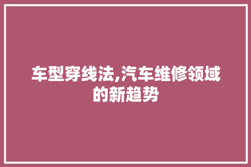 车型穿线法,汽车维修领域的新趋势