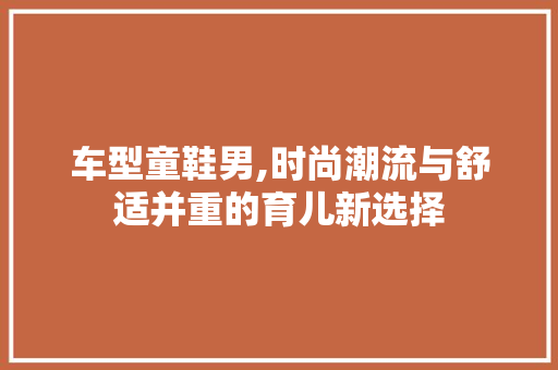 车型童鞋男,时尚潮流与舒适并重的育儿新选择