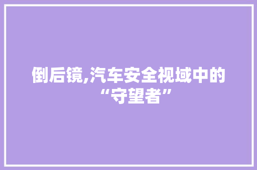 倒后镜,汽车安全视域中的“守望者”
