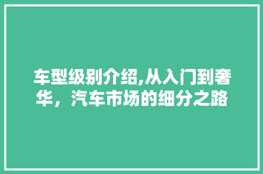 车型级别介绍,从入门到奢华，汽车市场的细分之路