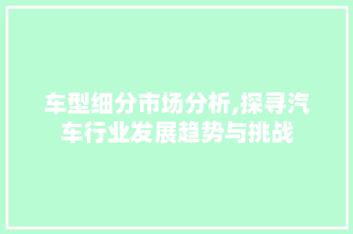 车型细分市场分析,探寻汽车行业发展趋势与挑战