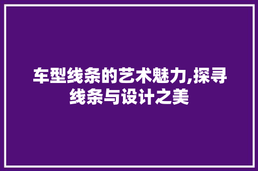 车型线条的艺术魅力,探寻线条与设计之美 新能源汽车
