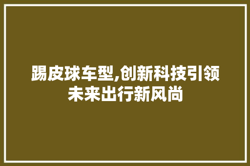 踢皮球车型,创新科技引领未来出行新风尚
