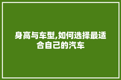 身高与车型,如何选择最适合自己的汽车