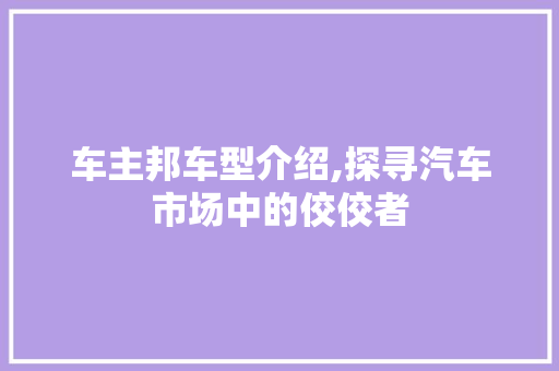 车主邦车型介绍,探寻汽车市场中的佼佼者