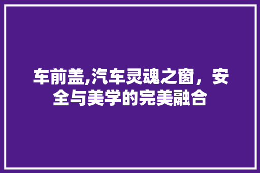车前盖,汽车灵魂之窗，安全与美学的完美融合
