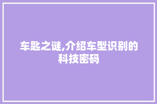 车匙之谜,介绍车型识别的科技密码