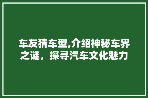 车友猜车型,介绍神秘车界之谜，探寻汽车文化魅力