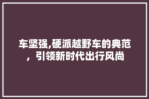 车坚强,硬派越野车的典范，引领新时代出行风尚