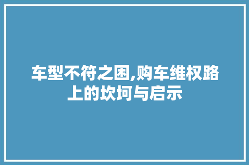 车型不符之困,购车维权路上的坎坷与启示