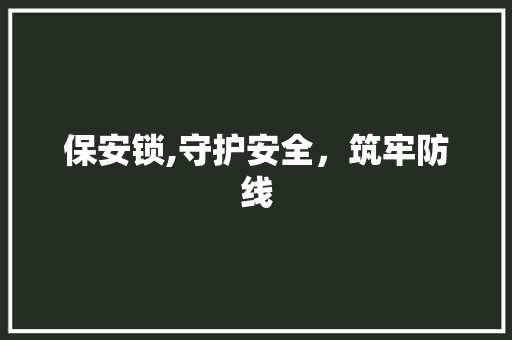 保安锁,守护安全，筑牢防线