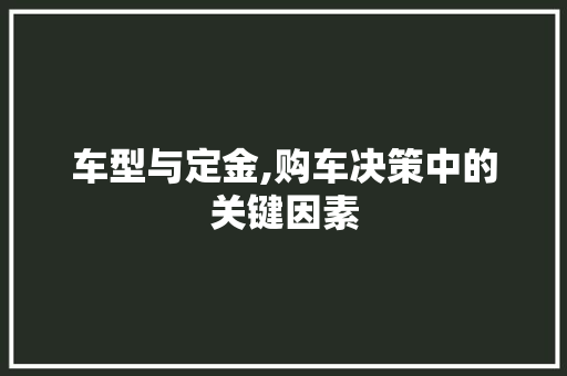 车型与定金,购车决策中的关键因素