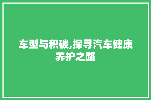 车型与积碳,探寻汽车健康养护之路