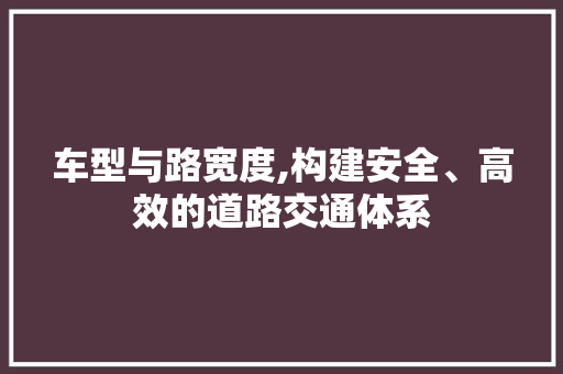 车型与路宽度,构建安全、高效的道路交通体系