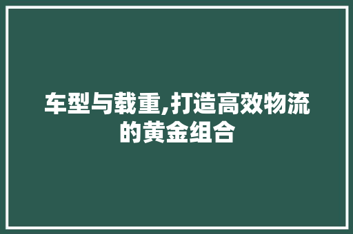 车型与载重,打造高效物流的黄金组合