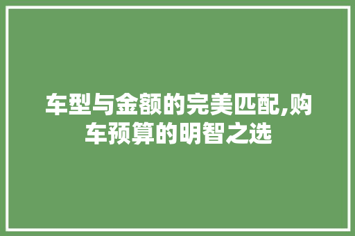 车型与金额的完美匹配,购车预算的明智之选