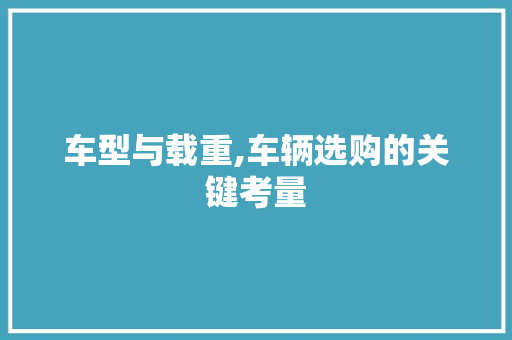 车型与载重,车辆选购的关键考量