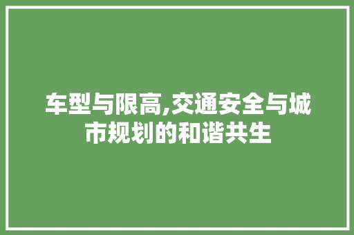 车型与限高,交通安全与城市规划的和谐共生