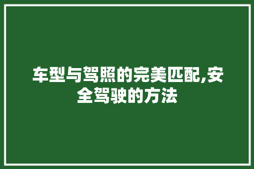 车型与驾照的完美匹配,安全驾驶的方法