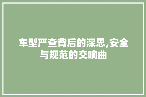 车型严查背后的深思,安全与规范的交响曲