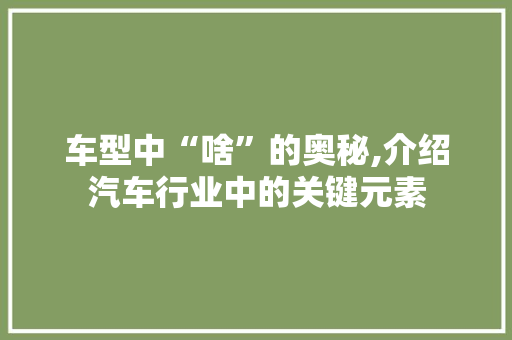 车型中“啥”的奥秘,介绍汽车行业中的关键元素