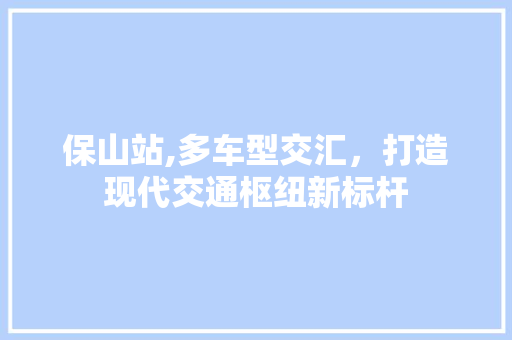 保山站,多车型交汇，打造现代交通枢纽新标杆