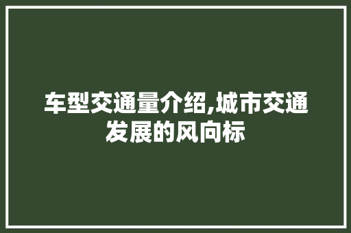 车型交通量介绍,城市交通发展的风向标