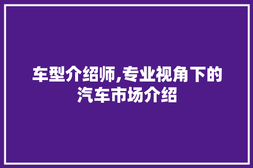 车型介绍师,专业视角下的汽车市场介绍