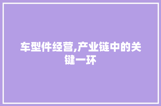 车型件经营,产业链中的关键一环