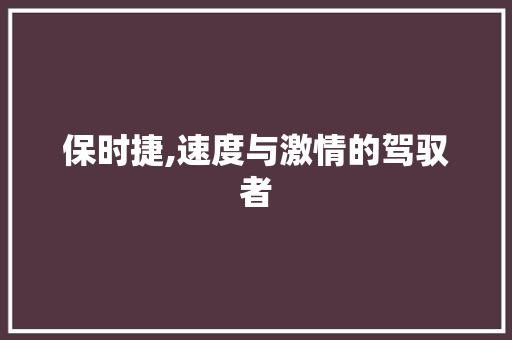 保时捷,速度与激情的驾驭者