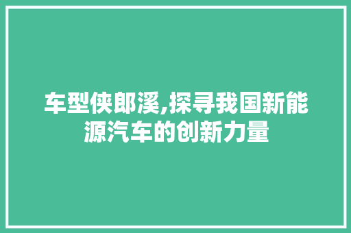车型侠郎溪,探寻我国新能源汽车的创新力量