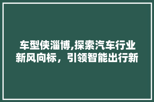 车型侠淄博,探索汽车行业新风向标，引领智能出行新时代
