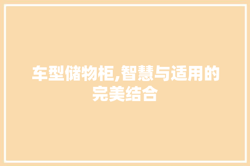 车型储物柜,智慧与适用的完美结合